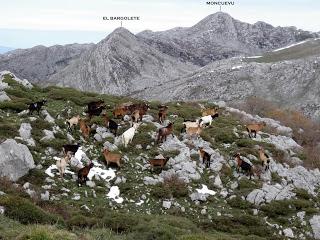 El Fresno la Col.lá-Pena Podre-El Gamoniteiru-Las Morteras