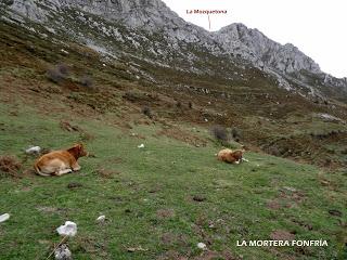 El Fresno la Col.lá-Pena Podre-El Gamoniteiru-Las Morteras