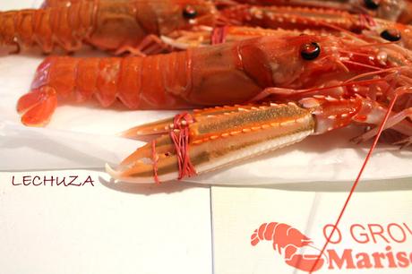 CIGALAS A LA PLANCHA CIGALAS A LA PLANCHA