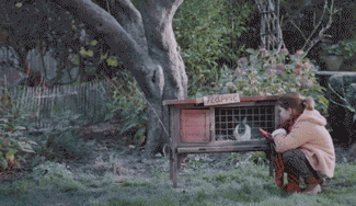 HISTORIA DE UNA NAVIDAD DIFERENTE HISTORIA DE UNA NAVIDAD DIFERENTE