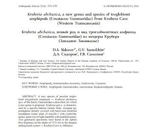 Nuevo género y nueva especie en Krubera Nuevo género y nueva especie en Krubera