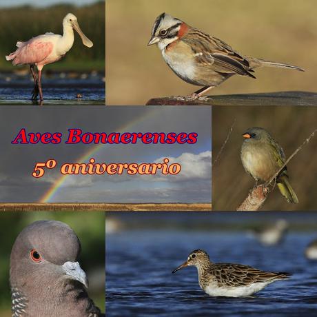 5º aniversario de Aves Bonaerenses
