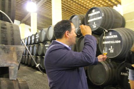 Visitar Bodegas de Jerez