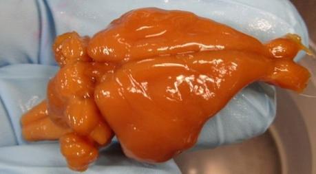 Predicciones futuristas que se hicieron realidad en 2016 Predicciones futuristas que se hicieron realidad en 2016