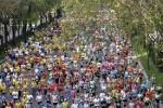 San Silvestre. Historia y curiosidades