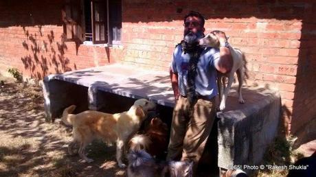 Hombre indio se ocupa de 735 perros que nadie más quiere rakesh-shukla-dogs3