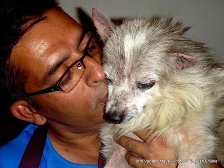 Hombre indio se ocupa de 735 perros que nadie más quiere rakesh-shukla-dogs5