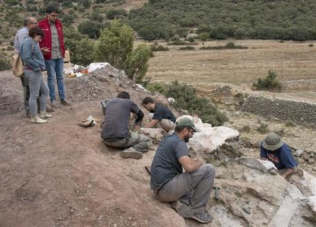 Encontrados restos fósiles de dinosaurios en el terreno destinado a los huertos urbanos en Montequinto