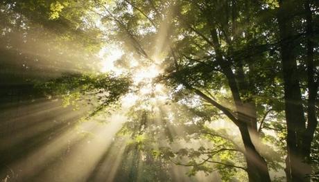 10 palabras en japonés que no existen en español 10 palabras en japonés que no existen en español