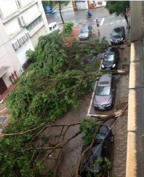 15 personas que no tenían idea de cómo estacionarse y pagaron las consecuencias 15 personas que no tenían idea de cómo estacionarse y pagaron las consecuencias