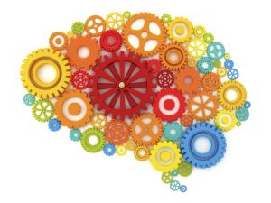 La importancia del desarrollo cognitivo en la educación La importancia del desarrollo cognitivo en la educación