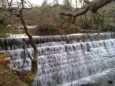 ENERO 2017 ENERO 2017