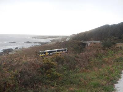 ENERO 2017 ENERO 2017