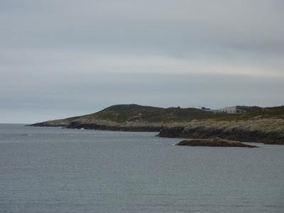 ENERO 2017 ENERO 2017