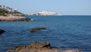 Playas para perros en Costa del Azahar y Costa de Valencia Cala del Moro