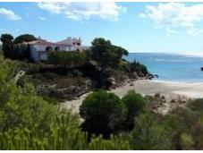 Playas para perros Costa Azahar Valencia
