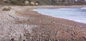 Playas para perros en Costa del Azahar y Costa de Valencia Playa de Aiguaoliva