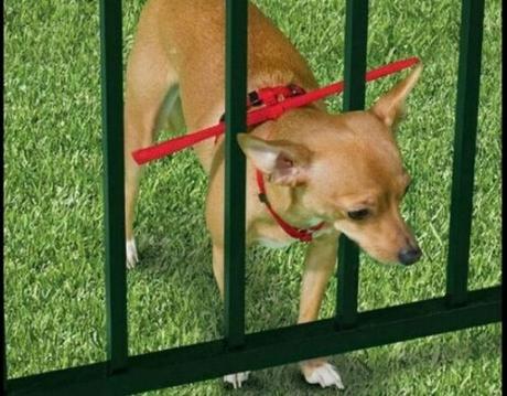 Inventos que te harán decir “Cállate y toma mi dinero” Inventos que te harán decir “Cállate y toma mi dinero”