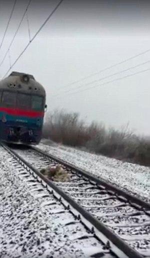 Perro protege a otro del tren en Ucrania