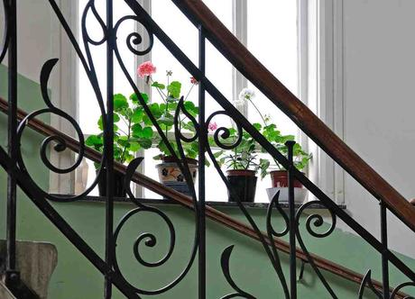 ¿Cuáles son las escaleras interiores ideales para espacios clásicos, rústicos o modernos? ¿Cuáles son las escaleras interiores ideales para espacios clásicos, rústicos o modernos?