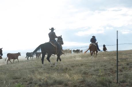 Comanchería. Una película de David Mackenzie