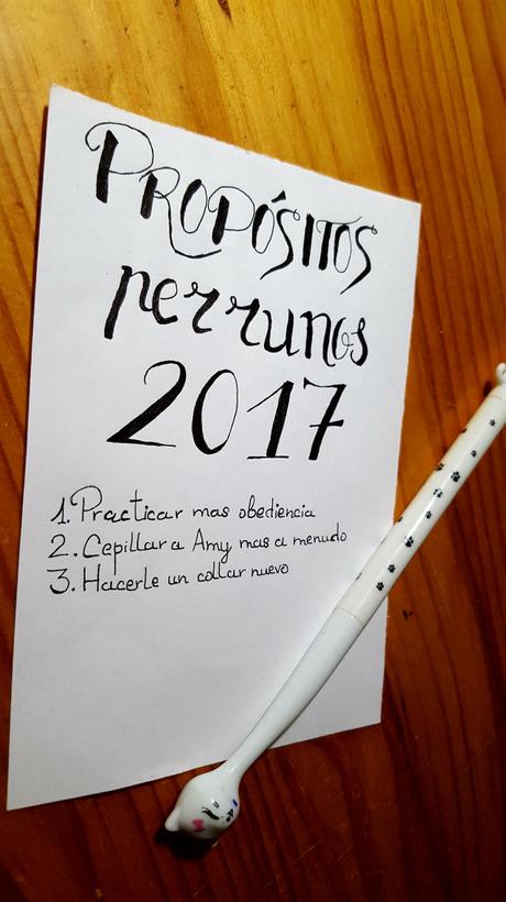 Acaba 2016… ¡Bienvenido 2017!