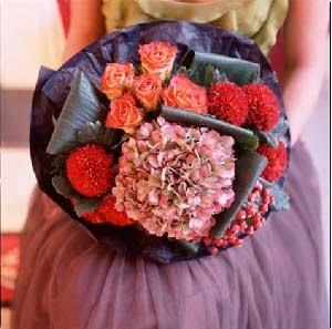 flower power flower power