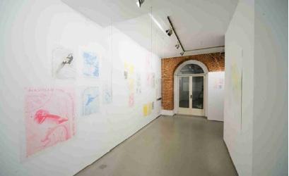 Los sellos que nunca viajaron y los pájaros que nunca volaron.Vista de la Instalación Volver… con Diango Hernández y Simon Starling.