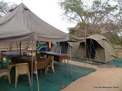 SUDAFRICA: VIDA SALVAJE EN EL PARQUE NACIONAL KRUGER