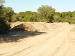 ¿Esto es Doñana?Parece mentira