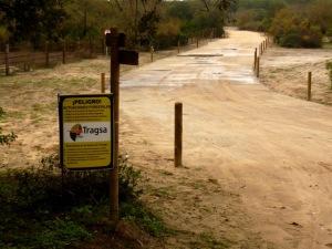 ¿Esto es Doñana?Parece mentira