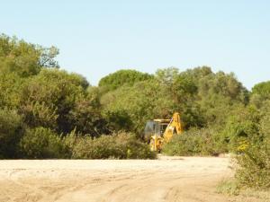 ¿Esto es Doñana?Parece mentira