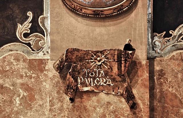 Alternative rock (o arquitectos que hablan latín) Alternative rock (o arquitectos que hablan latín)