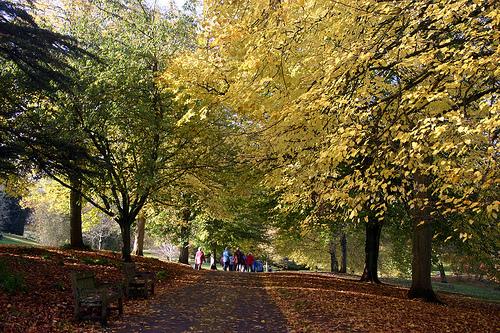 7 THINGS ABOUT ME / 7 COSAS SOBRE MI 7 THINGS ABOUT ME / 7 COSAS SOBRE MI