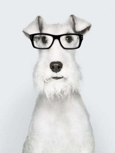 Listado de participantes en el sorteo de la Rocking Chair! Listado de participantes en el sorteo de la Rocking Chair!