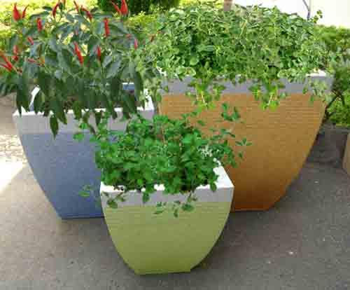 Un Balcón distinto http://entrejardines.com.ar/blog/wp-content/uploads/2010/11/nota-huerta.jpg