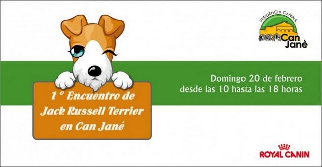1a TROBADA DE JACK RUSSELL TERRIER 1a TROBADA DE JACK RUSSELL TERRIER