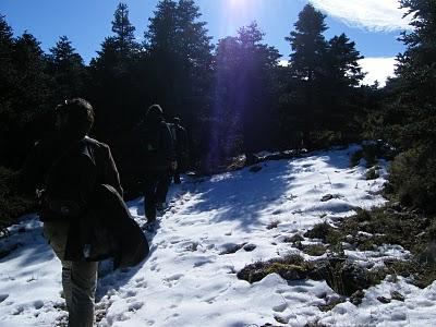 Rutas Puerto del Saucillo - Puerto Bellina y Puerto del Caucón - Tajo de la Caína. La Sierra de las Nieves hace honor a su nombre...30/01/11 Rutas Puerto del Saucillo - Puerto Bellina y Puerto del Caucón - Tajo de la Caína. La Sierra de las Nieves hace honor a su nombre...30/01/11