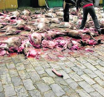 Deporte o asesinato Deporte o asesinato