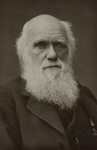 Las matemáticas de Darwin