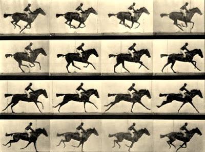 La percepción, cuando el Creador se arriesga o cuando lo real no es lo que importa. La percepción, cuando el Creador se arriesga o cuando lo real no es lo que importa.