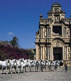 Un monasterio, una historia y un caballo: La Cartuja. Un monasterio, una historia y un caballo: La Cartuja.