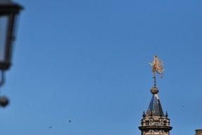 Jacarandas, veletas, flores, símbolos, pasado y descuido. Jacarandas, veletas, flores, símbolos, pasado y descuido.