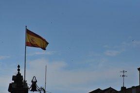 Jacarandas, veletas, flores, símbolos, pasado y descuido. Jacarandas, veletas, flores, símbolos, pasado y descuido.