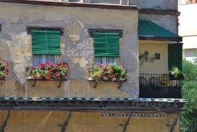 Jacarandas, veletas, flores, símbolos, pasado y descuido. Jacarandas, veletas, flores, símbolos, pasado y descuido.