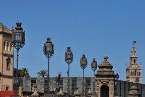 Jacarandas, veletas, flores, símbolos, pasado y descuido. Jacarandas, veletas, flores, símbolos, pasado y descuido.