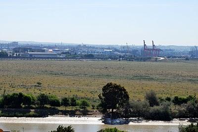 ¿La belleza es la parte o el todo? ¿La belleza es la parte o el todo?