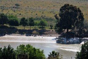 ¿La belleza es la parte o el todo? ¿La belleza es la parte o el todo?