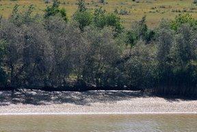 ¿La belleza es la parte o el todo? ¿La belleza es la parte o el todo?