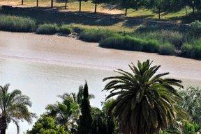 ¿La belleza es la parte o el todo? ¿La belleza es la parte o el todo?